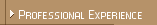 Professional Experience