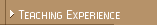 Teaching Experience